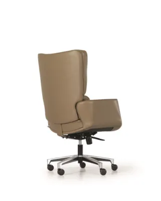 Yönetici - Makam Koltukları