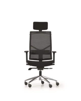 Yönetici - Makam Koltukları