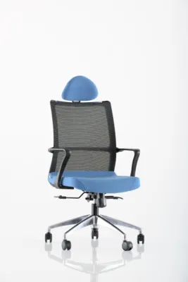 Yönetici - Makam Koltukları