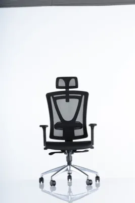 Yönetici - Makam Koltukları