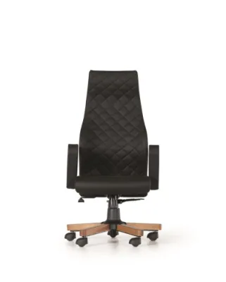 Yönetici - Makam Koltukları