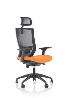 Yönetici - Makam Koltukları