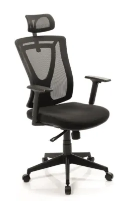 Yönetici - Makam Koltukları