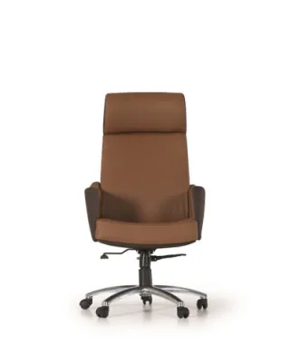 Yönetici - Makam Koltukları