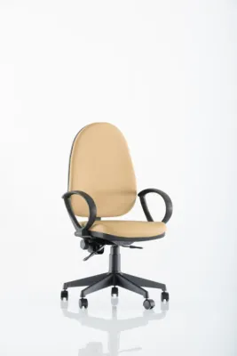 Yönetici - Makam Koltukları