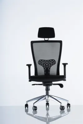 Yönetici - Makam Koltukları