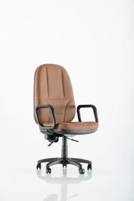 Yönetici - Makam Koltukları