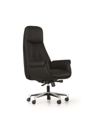 Yönetici - Makam Koltukları