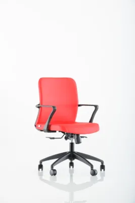 Yönetici - Makam Koltukları