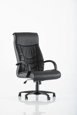 Yönetici - Makam Koltukları