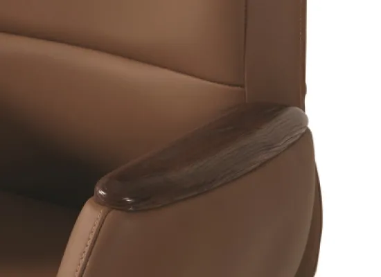 Yönetici - Makam Koltukları