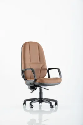 Yönetici - Makam Koltukları