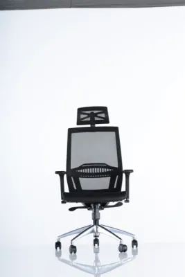 Yönetici - Makam Koltukları