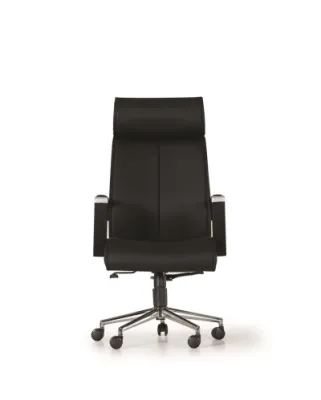 Yönetici - Makam Koltukları