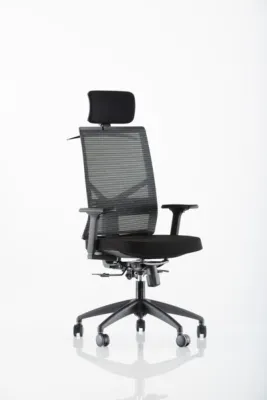 Yönetici - Makam Koltukları