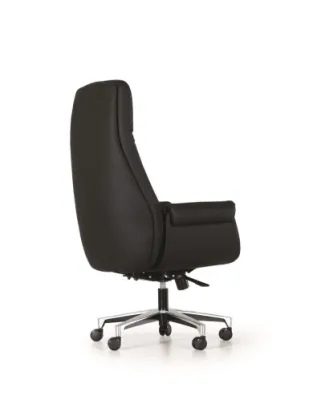 Yönetici - Makam Koltukları