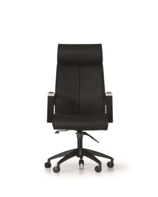 Yönetici - Makam Koltukları