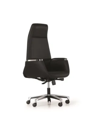 Yönetici - Makam Koltukları