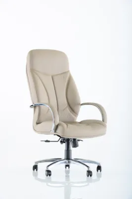 Yönetici - Makam Koltukları