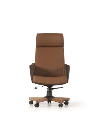 Yönetici - Makam Koltukları