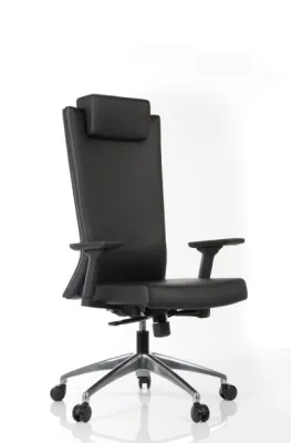 Yönetici - Makam Koltukları