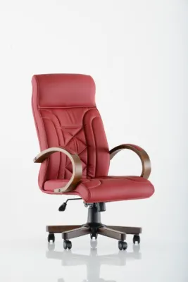 Yönetici - Makam Koltukları