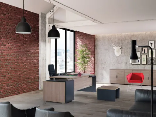 Yönetici Takımları