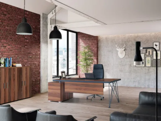 Yönetici Takımları