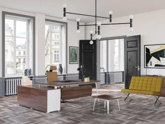 Yönetici Takımları