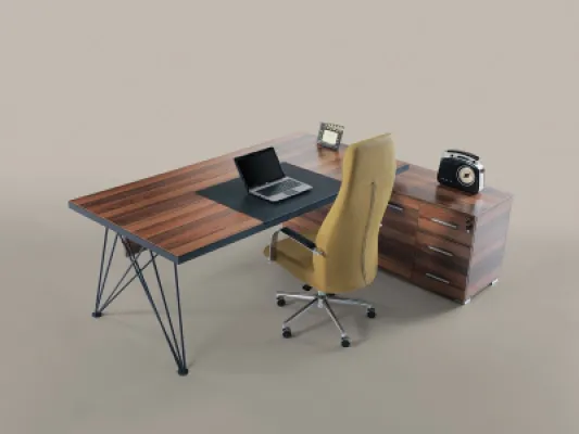 Yönetici Takımları