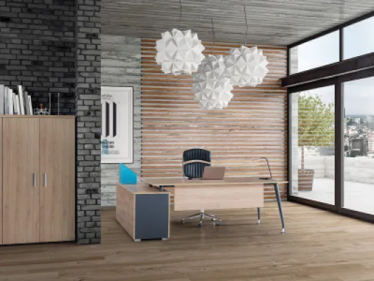 Yönetici Takımları