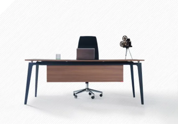 Yönetici Takımları