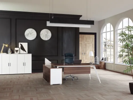 Yönetici Takımları