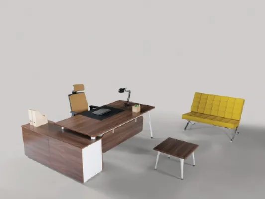 Yönetici Takımları