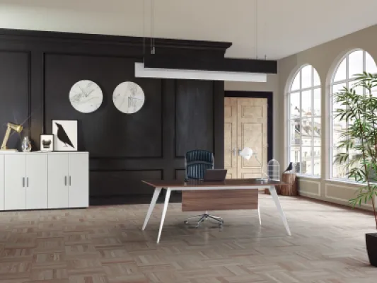 Yönetici Takımları