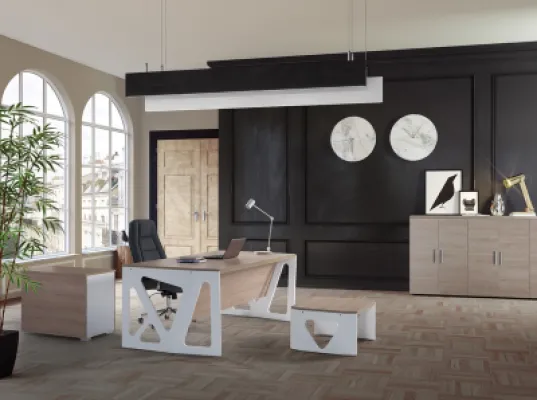 Yönetici Takımları