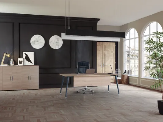 Yönetici Takımları