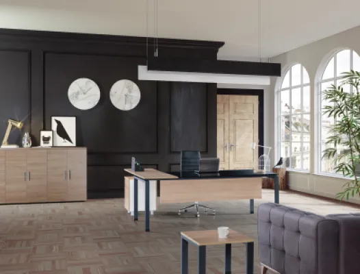 Yönetici Takımları