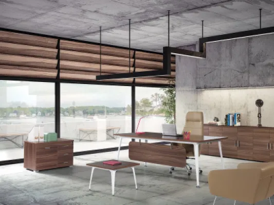 Yönetici Takımları