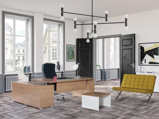 Yönetici Takımları