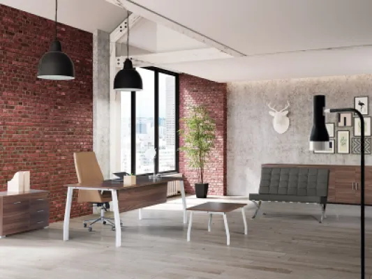 Yönetici Takımları