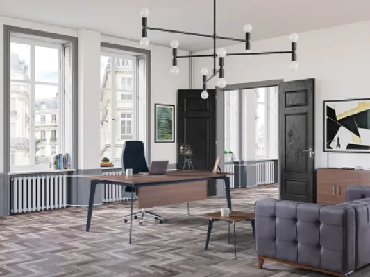 Yönetici Takımları