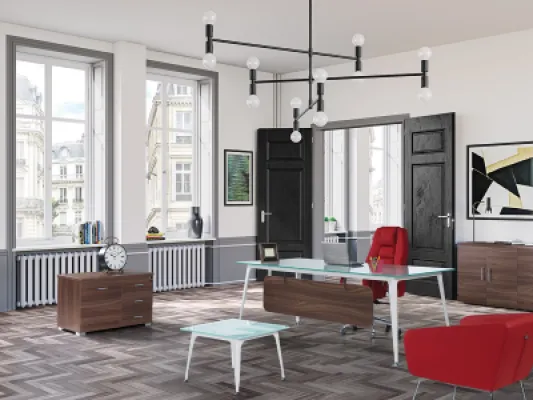 Yönetici Takımları