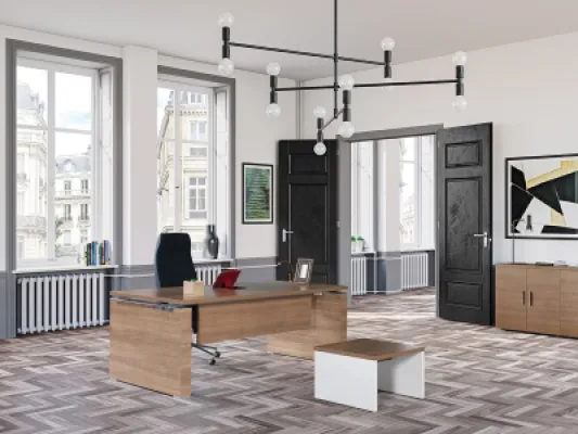 Yönetici Takımları