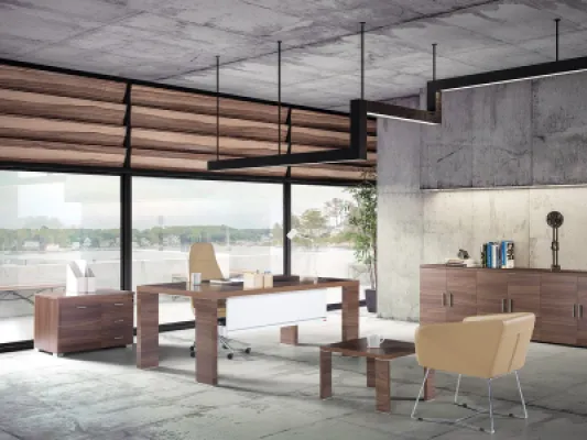 Yönetici Takımları