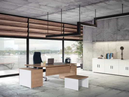 Yönetici Takımları