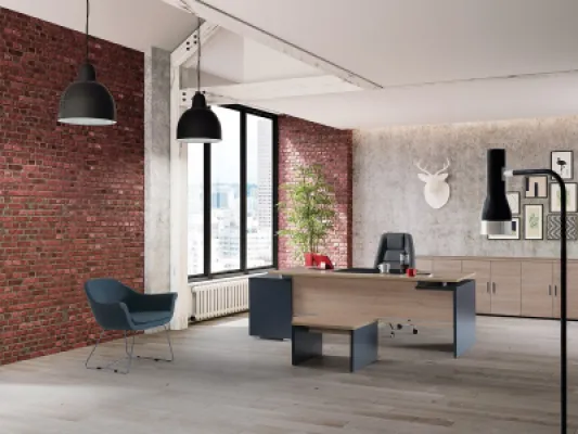 Yönetici Takımları