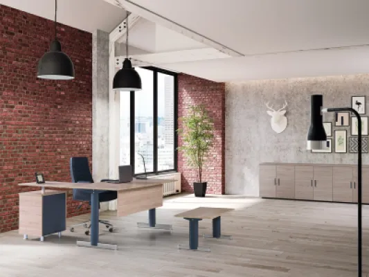 Yönetici Takımları