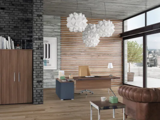 Yönetici Takımları