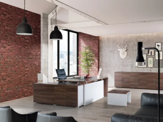 Yönetici Takımları